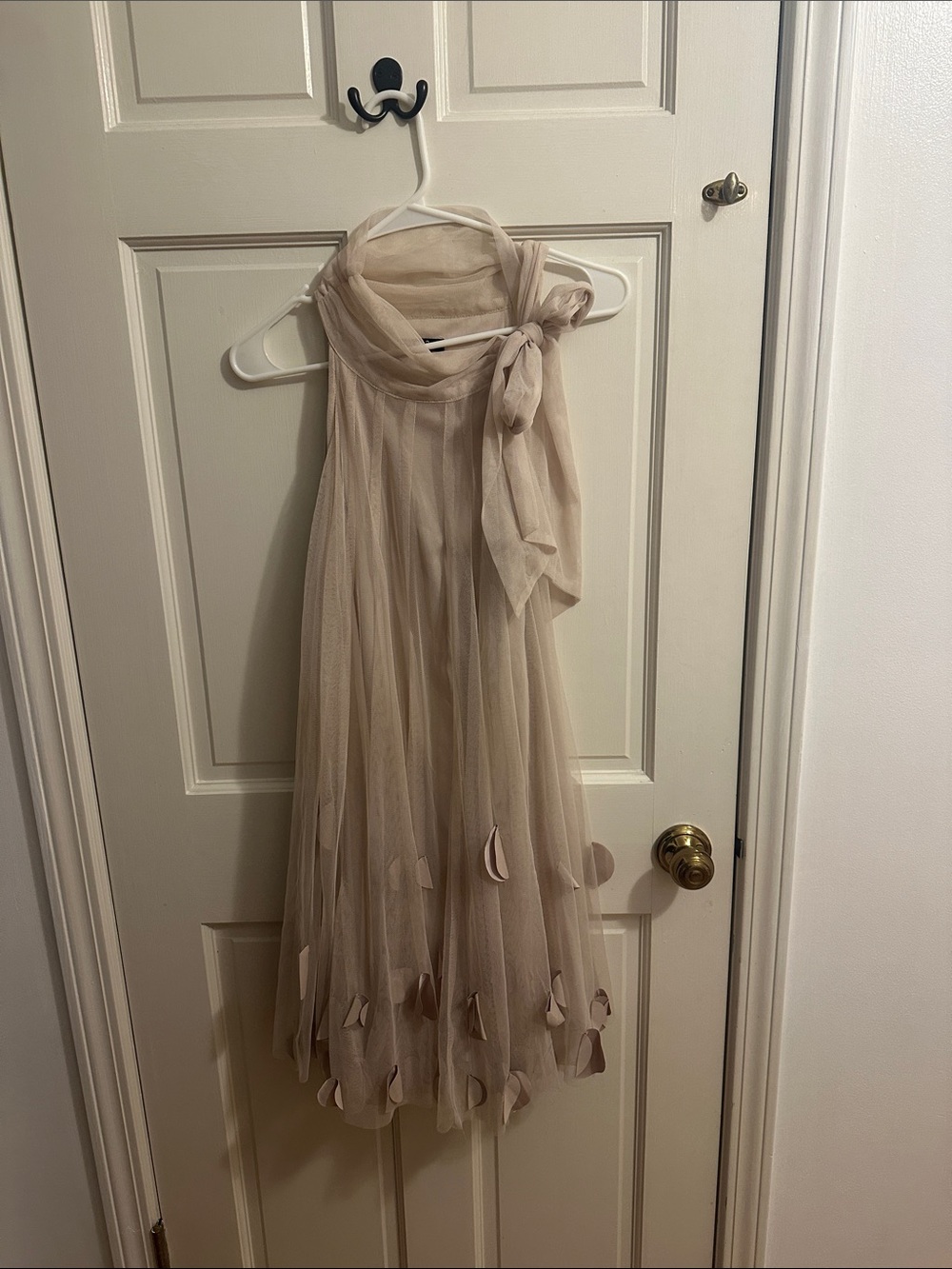 Soft Beige Tulle Midi Dress with Bow Neck
